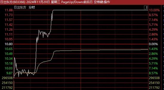 13天11板、12连板牛股，最新发声！